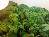 20170205_142116.jpg