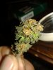 20170226_103716.jpg