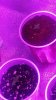 20170301_190621.jpg
