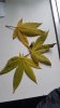 20170302_171426.jpg