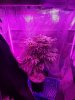 20170215_070245.jpg