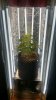20170303_084718_Richtone(HDR).jpg