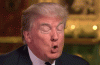 cannotunsee2.gif