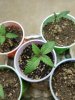 20170304_123228.jpg