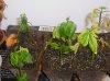 P1010003.jpg