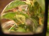 DSCF5737.jpg