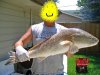 red fish.JPG