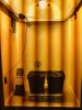 DSC01754.jpg