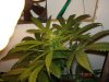 DSC02562.jpg