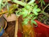 DSC02560.jpg