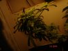 DSC02566.jpg