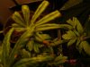 DSC02568.jpg