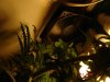 DSC02574.jpg