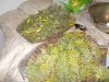 DSCN3276.JPG