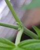 20170305_105214-1.jpg