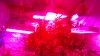 IMG_20170304_133656.jpg