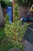 DSC00202.JPG