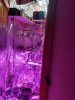 20170308_004219.jpg