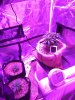 IMG-20170308-WA0000.jpg