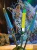 20170301_171832.jpg