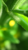 IMG_6660.PNG