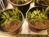 20170316_005220.jpg
