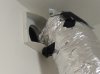 2017-03-14_growroom-intake.jpg
