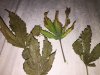 IMG_0026.JPG