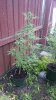 DSC_1682.JPG