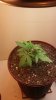 20170318_074101.jpg