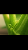 IMG_6721.PNG