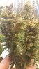 20170317_204110.jpg