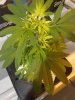20170318_111457.jpg