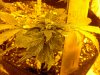20170320_191232.jpg