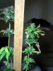 20170320_191845.jpg