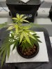 20170228_095135.jpg