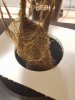 20170318_111515.jpg