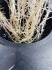 20170322_132101.jpg