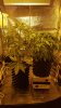 20170322_211045.jpg