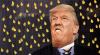 tumblr_omh4c12T8Y1ujsmvgo1_540.gif
