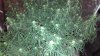 IMG_20170308_201655.jpg