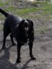 20170321_162705_001.jpg 20170321_162705_001.jpg