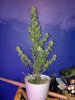 20170327_113918.jpg