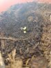 20170328_191258.jpg