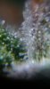 20170329_121745 - Copy.jpg