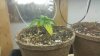 20170330_212613.jpg