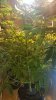 20170331_231526.jpg