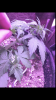 IMG_3262.PNG IMG_3262.PNG