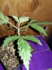 20170402_101922.jpg