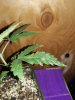 20170402_101904.jpg